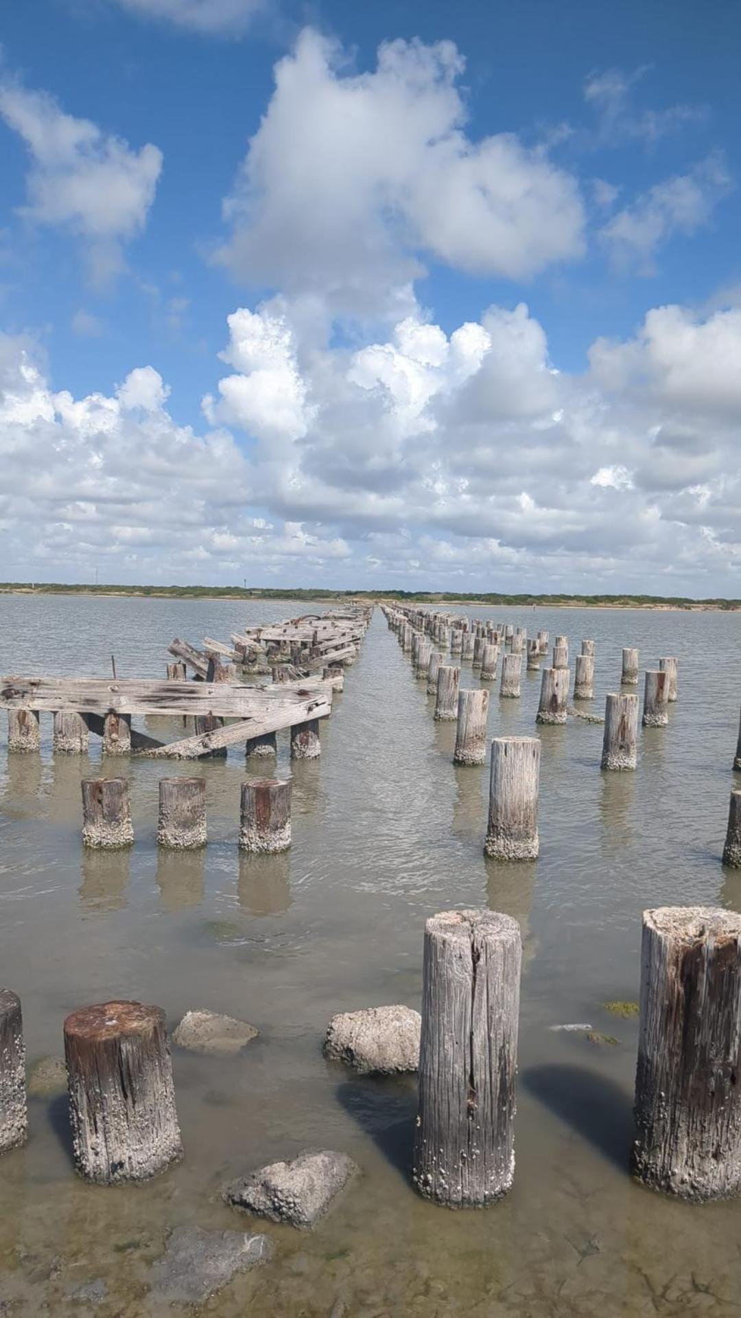 Cozy B- Condo In Charming Corpus Christi With Wifi, Ac Near Laguna Madre 외부 사진